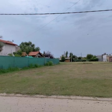 1767978760.jpg