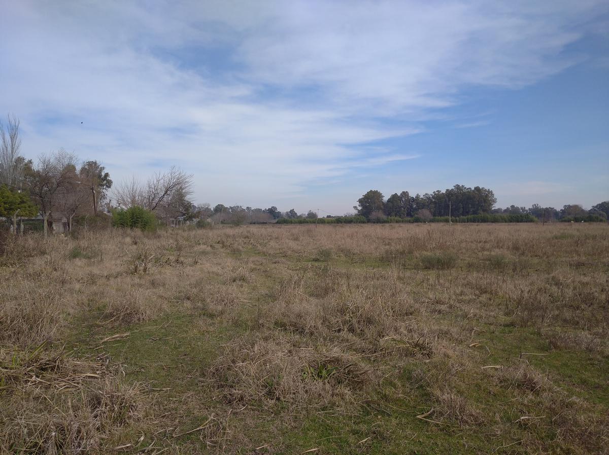 image 18