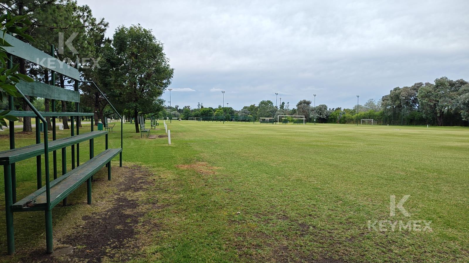 image 33