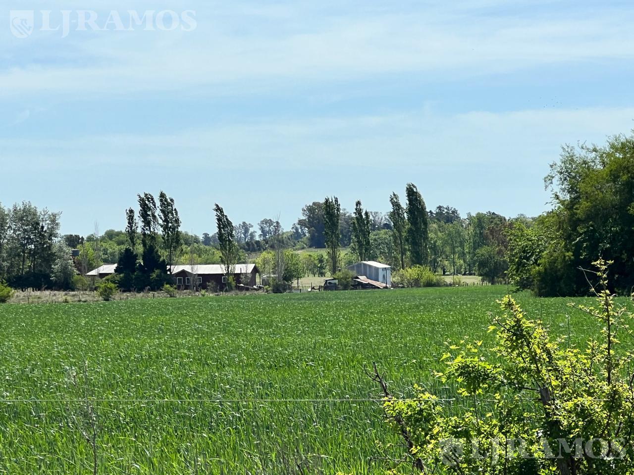 image 13
