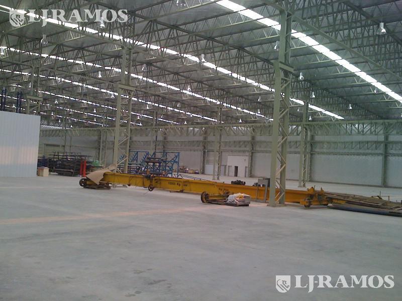 Puentes grua