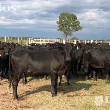 4338 ha ganaderas sobre Río Salado. Zona Argentina/Selva, Santiago del Estero.