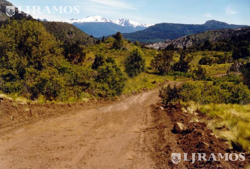 05 - camino