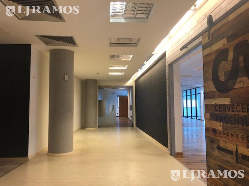 06-Planta