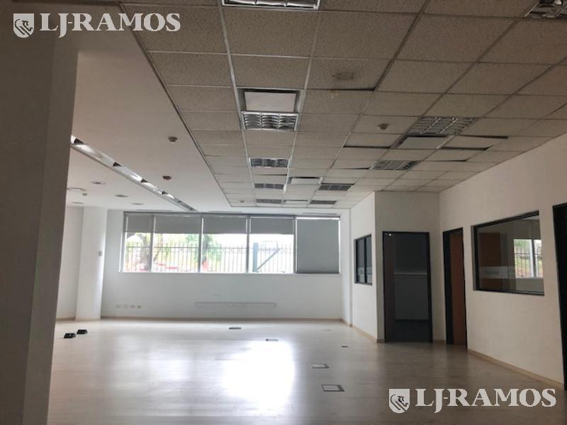 08-Planta