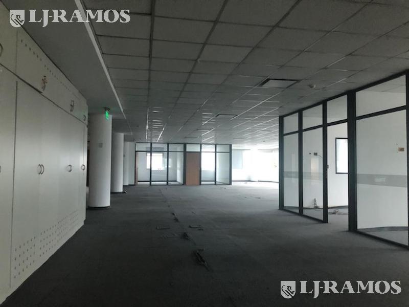 09-Planta
