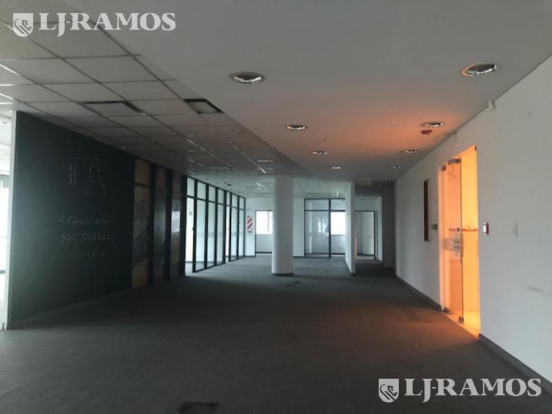 10-Planta