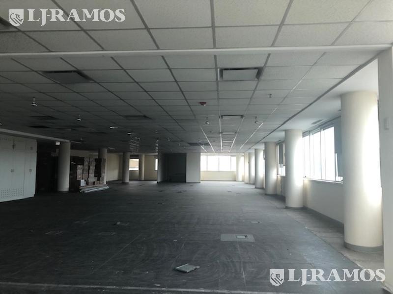 11-Planta