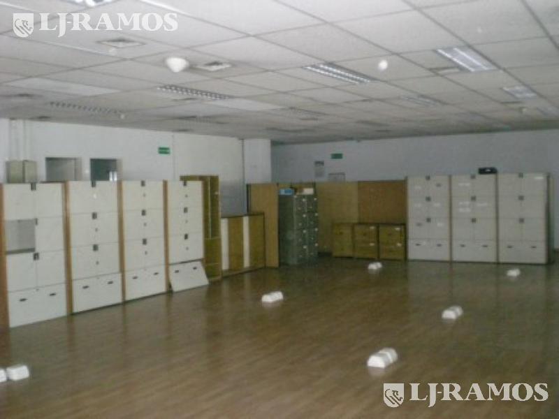 02-planta