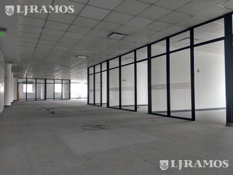 06-Planta