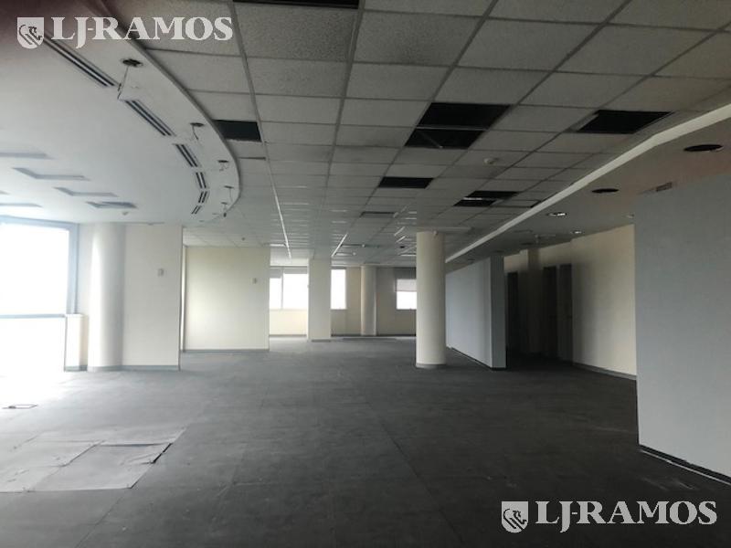 06-Planta