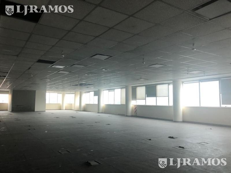 08-Planta