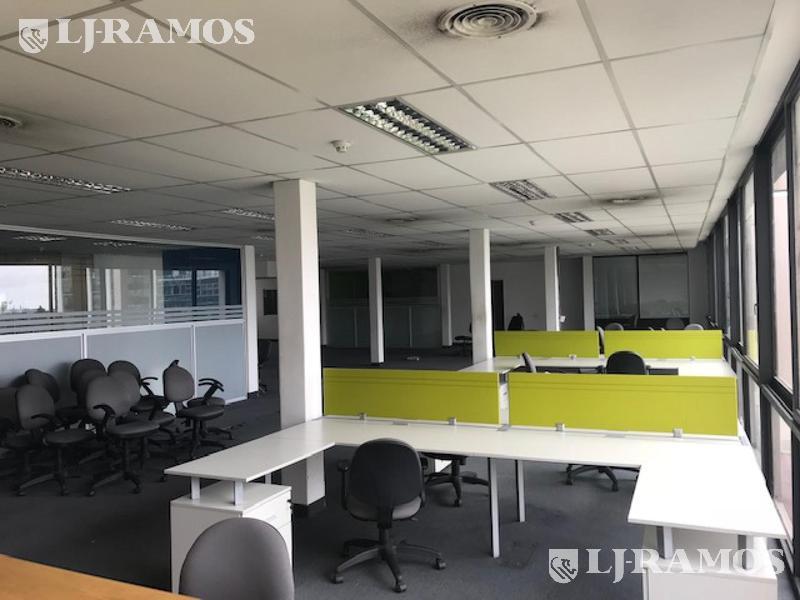 07-PLANTA