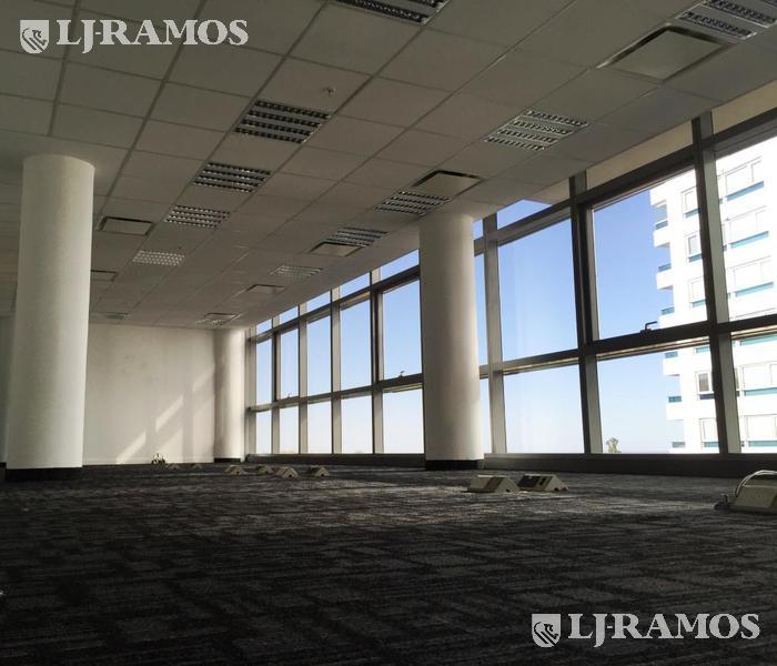 04 - Planta libre