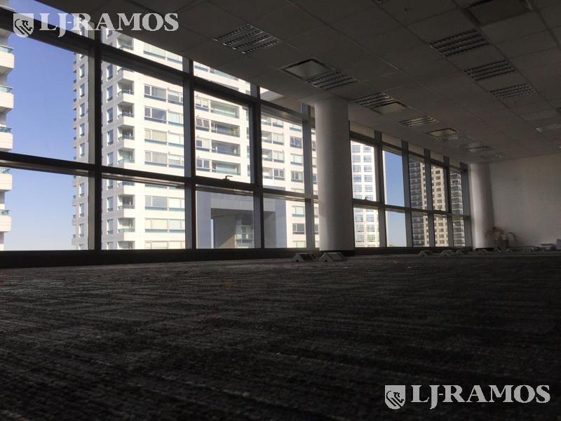 06 - Planta libre
