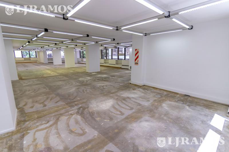 Planta