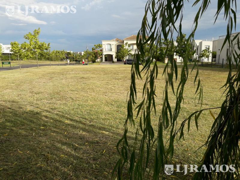 04 - LOTE