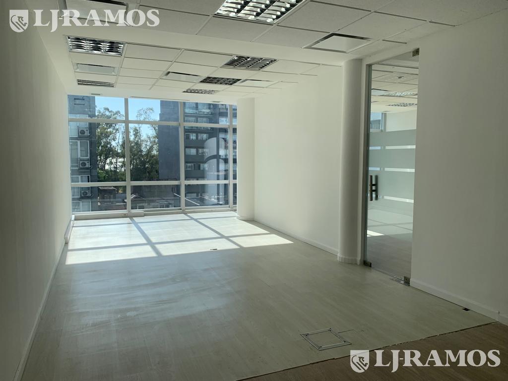 Planta