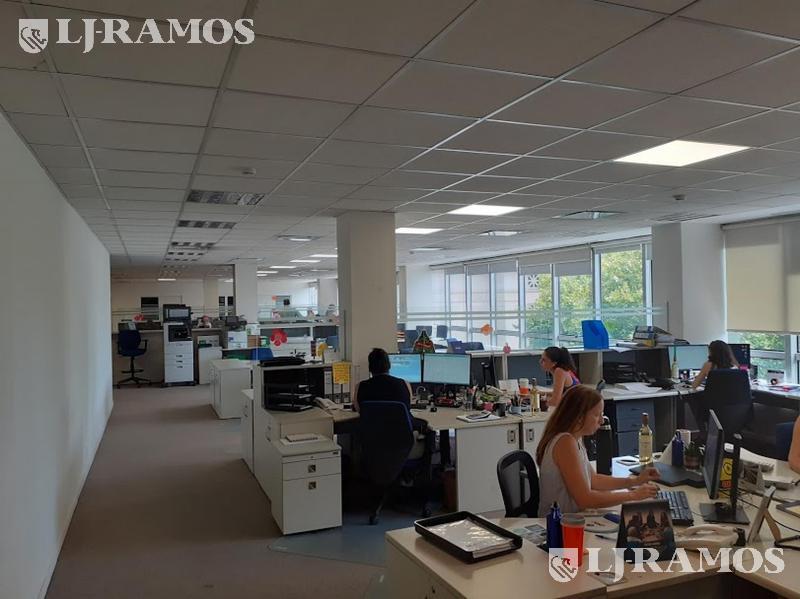05-PLANTA