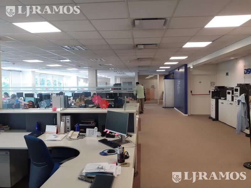 05-PLANTA
