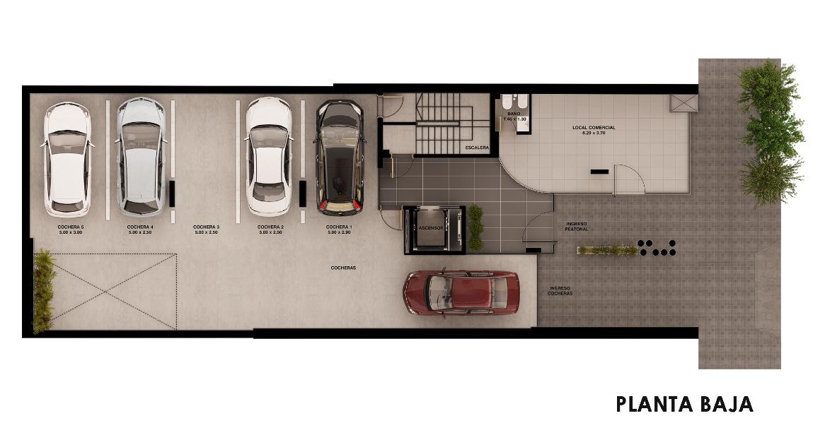 image 7