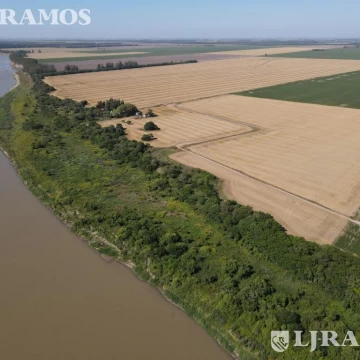 203 ha agrícolas. Timbúes, Santa Fe. Sobre hidrovía.