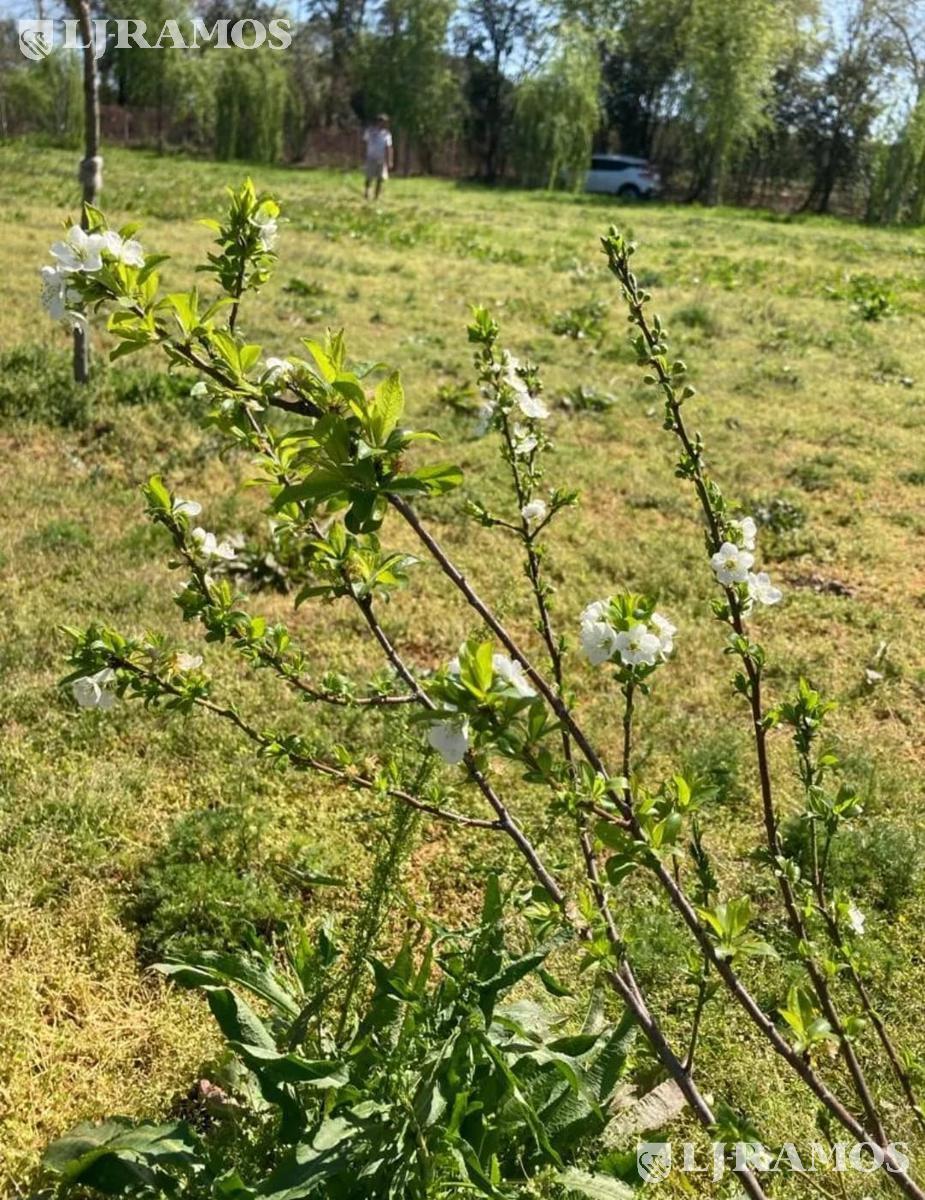 image 23