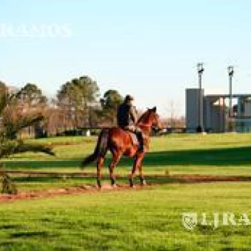 Terreno en  Venta en Eucaliptus Haras Santa Maria PG