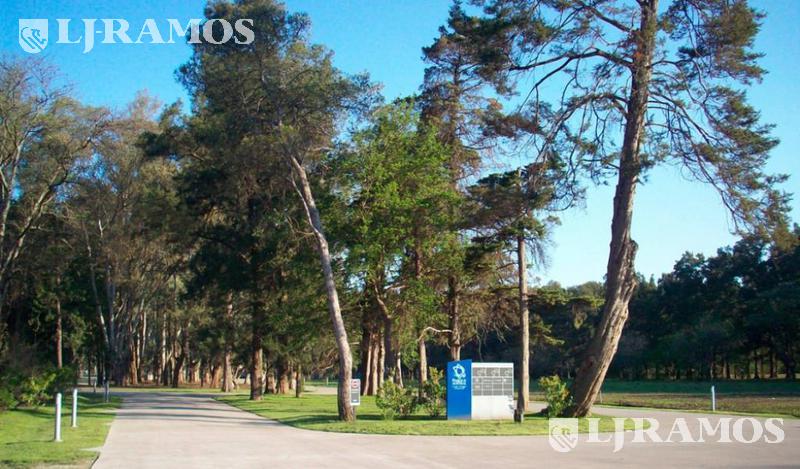 06-Entrada