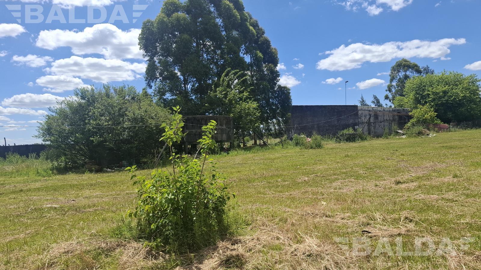 image 14