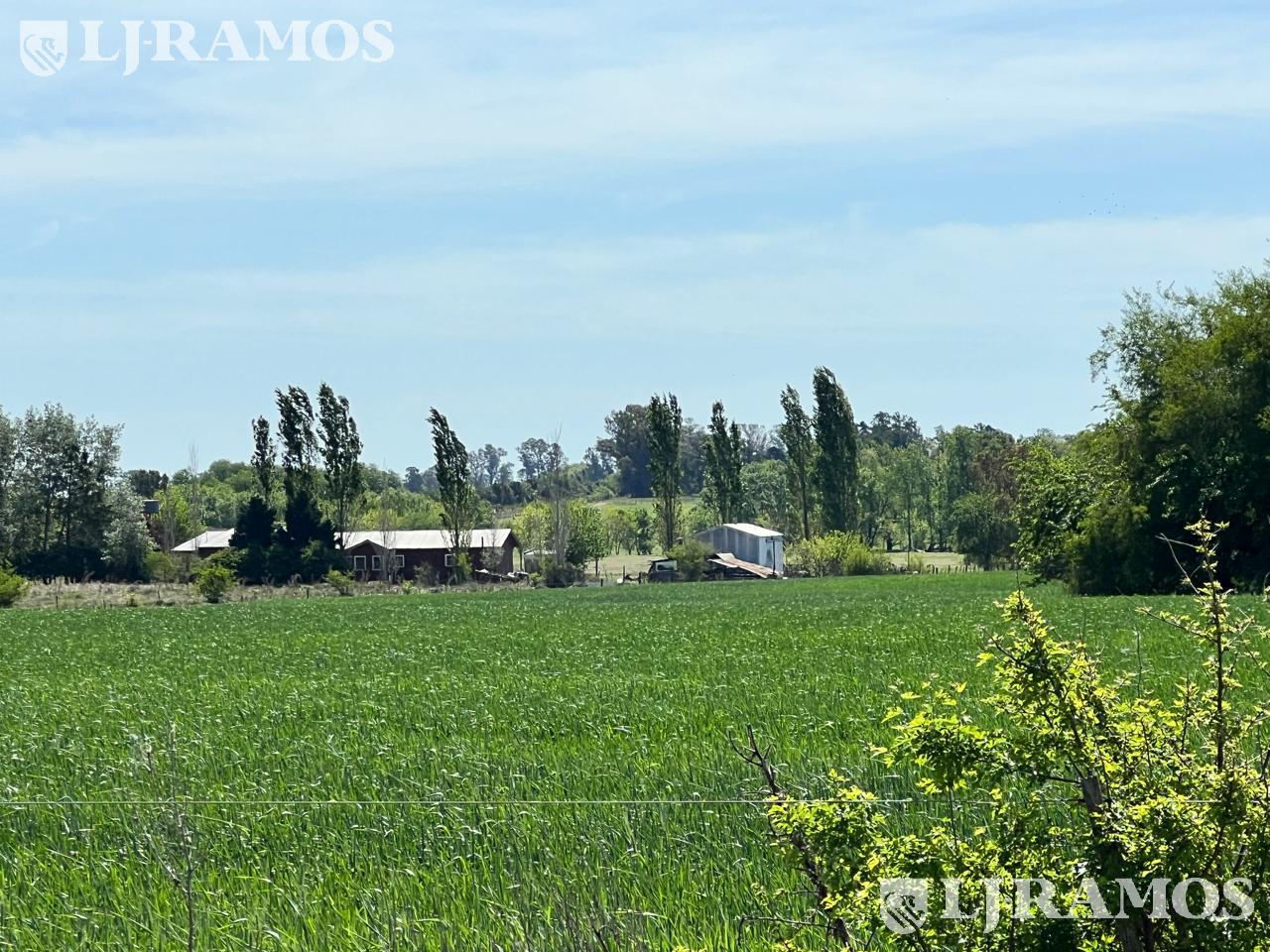 image 13