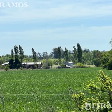 Terreno - Countries/B.Cerrado (Campana)