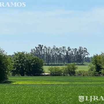 Terreno - Countries/B.Cerrado (Campana)