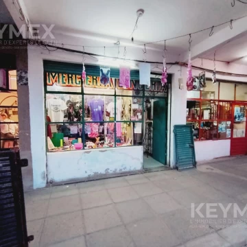 VENTA DE LOCAL CON FONDO DE COMERCIO EN VILLA CELINA