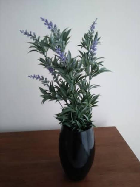 image 38