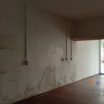 1768929451.jpg