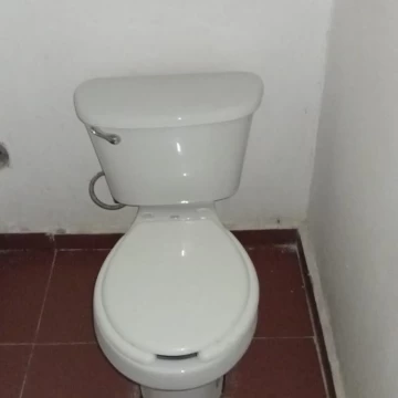 1768929452.jpg