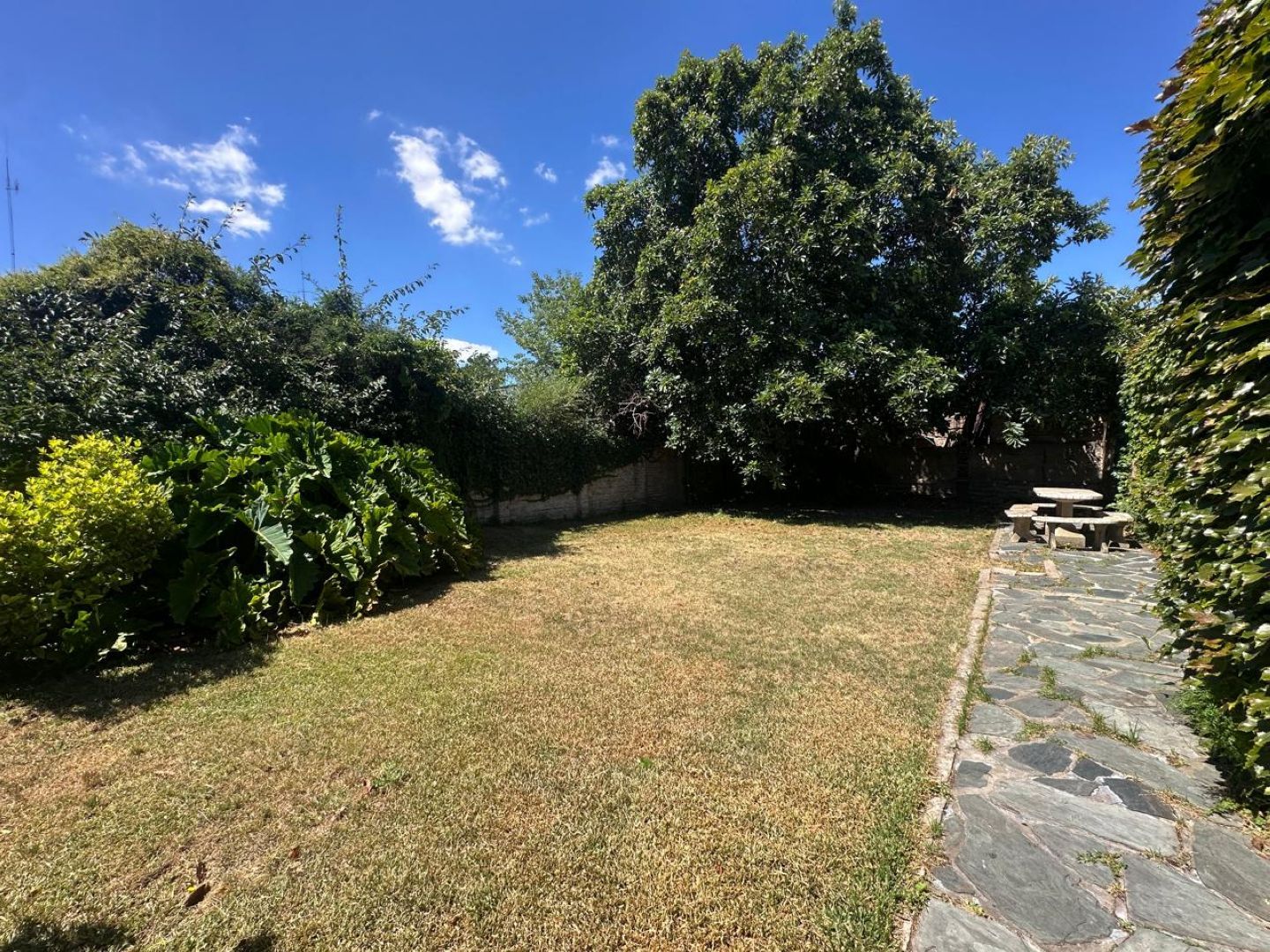 image 35