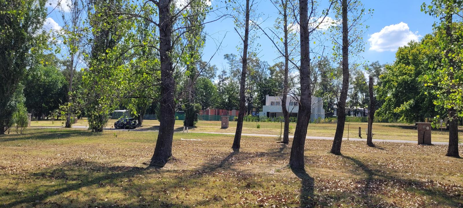image 14