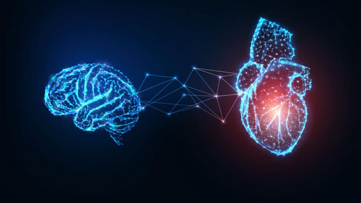 La Inteligencia emocional y los trabajos del futuro
