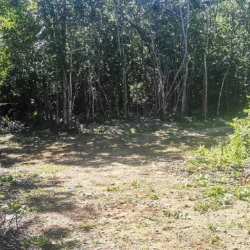 Terreno en Venta en Puerto Morelos Ruta de los Cenotes