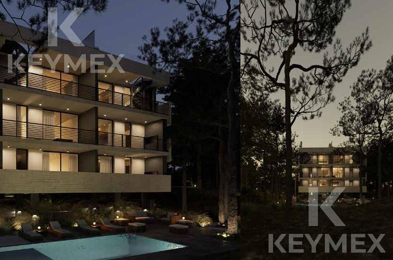 image 28