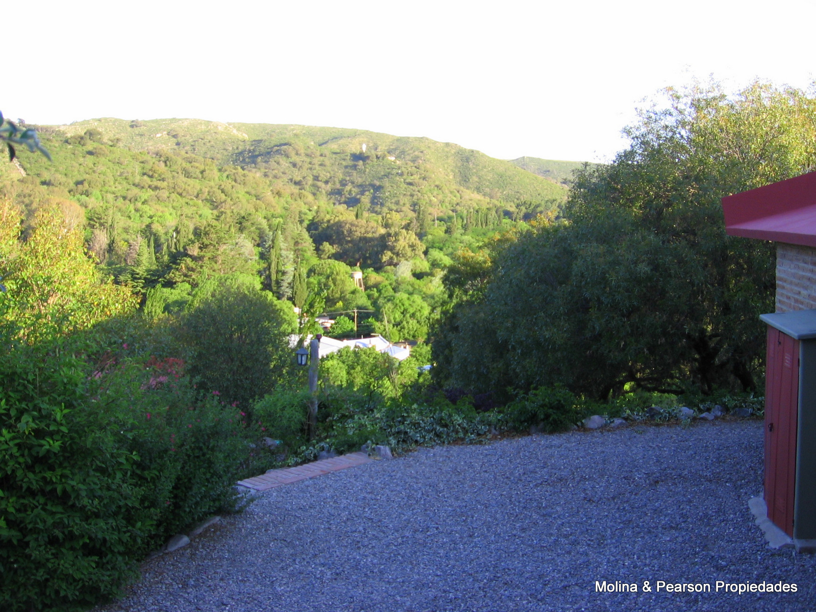 image 36