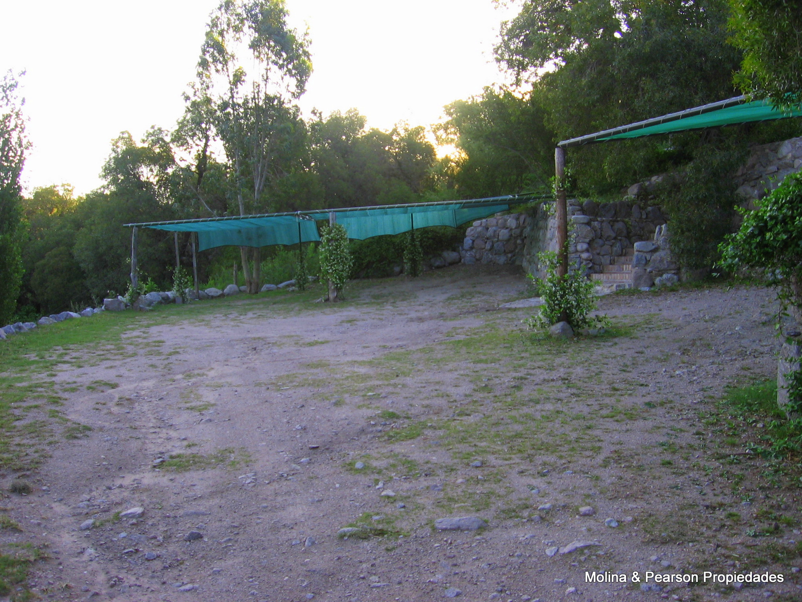image 54