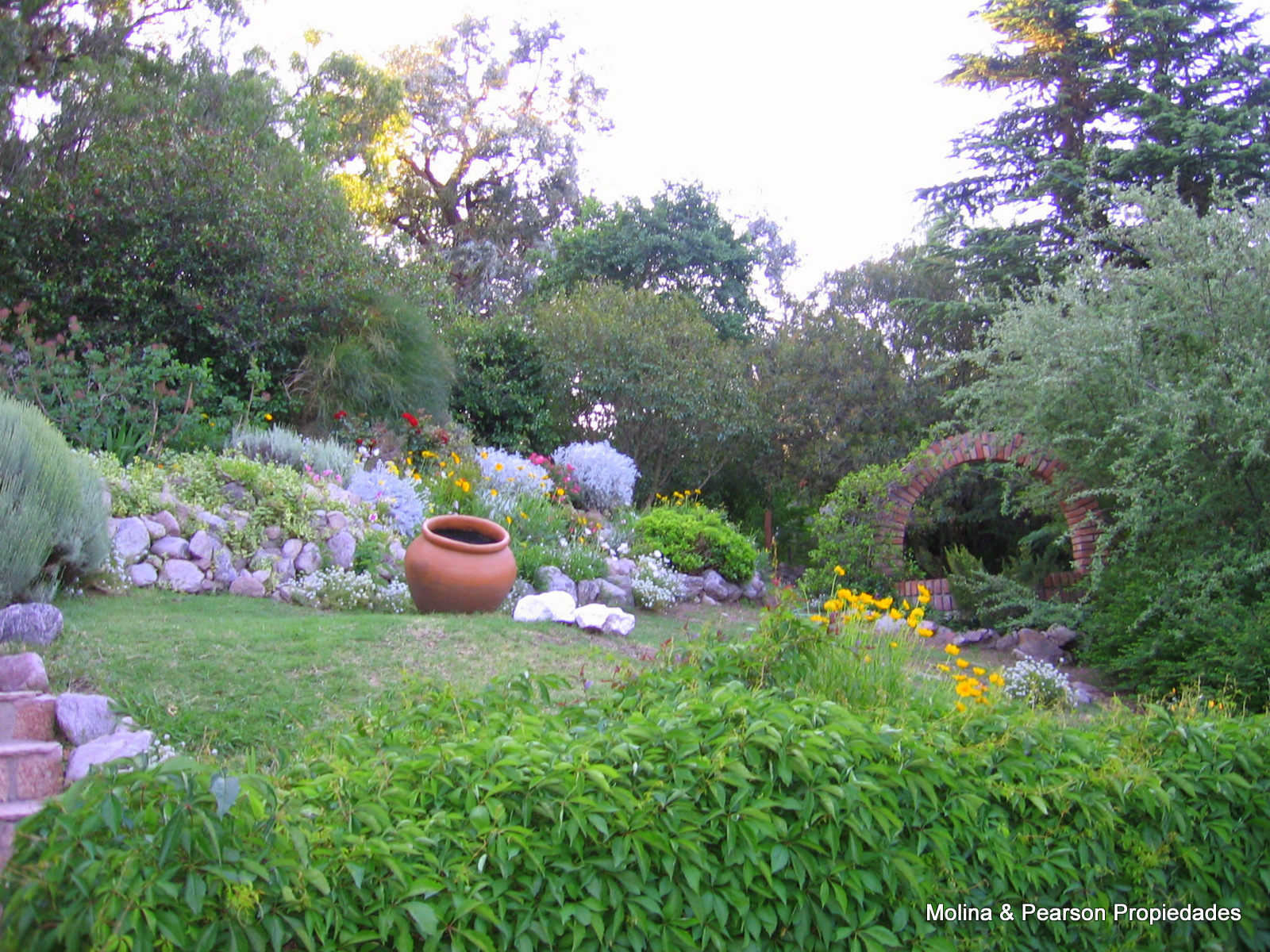 image 55