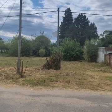Ruta 11 y Tomas Lubary