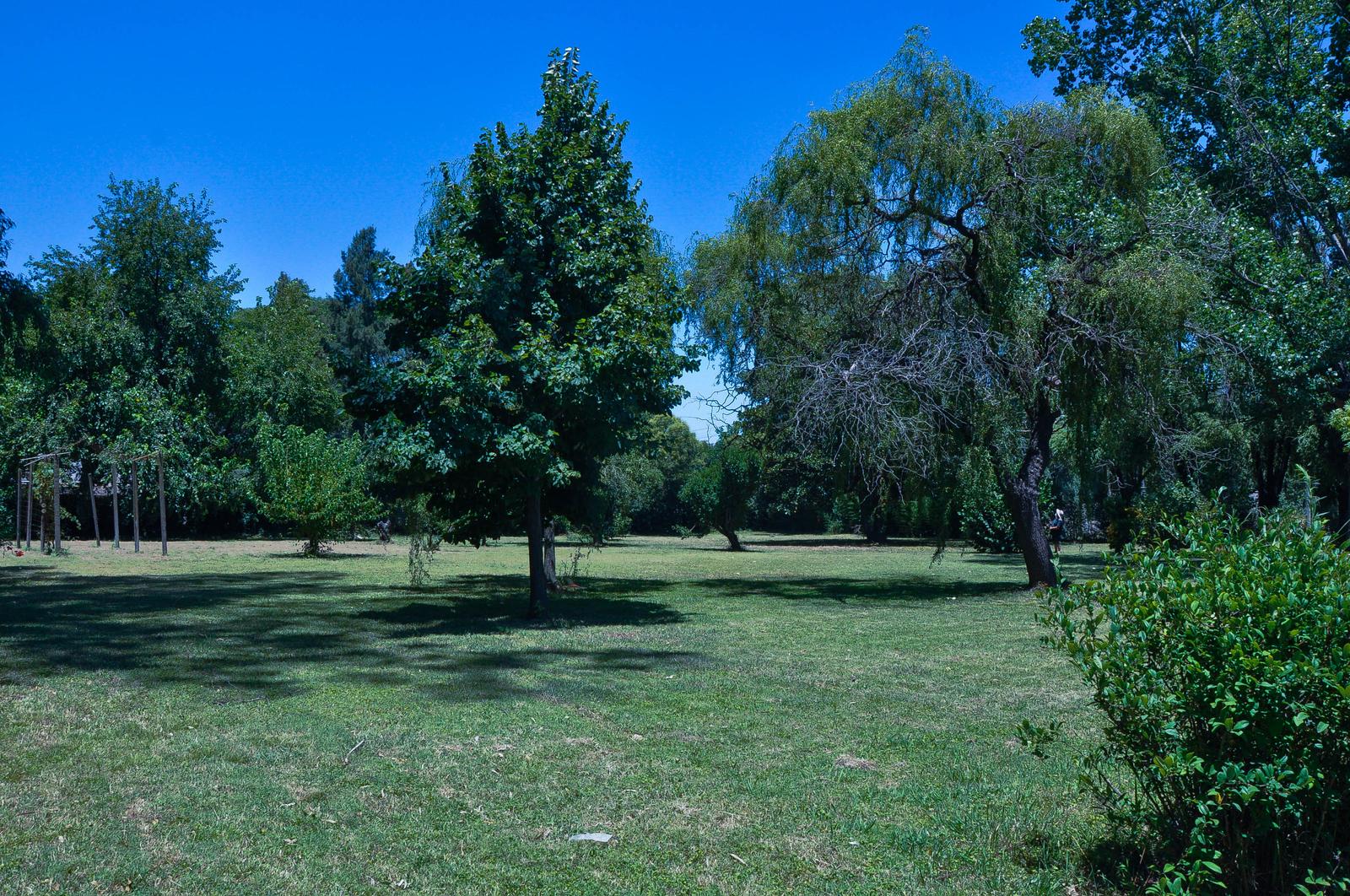 image 23