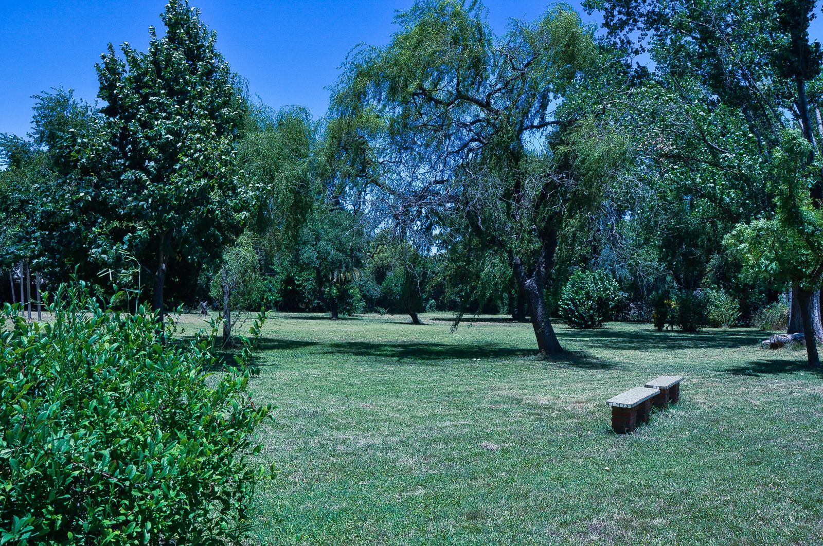 image 24