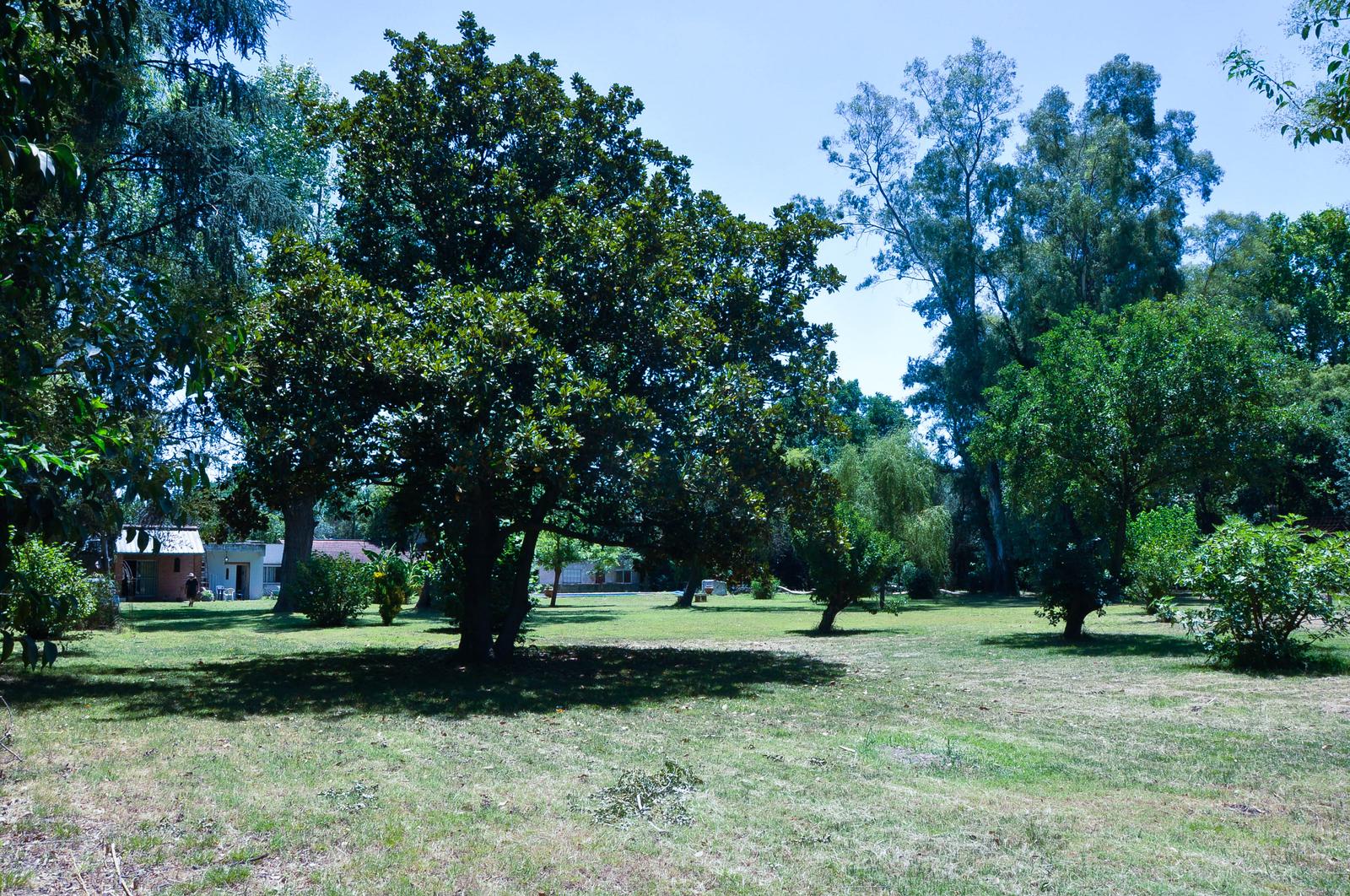image 25