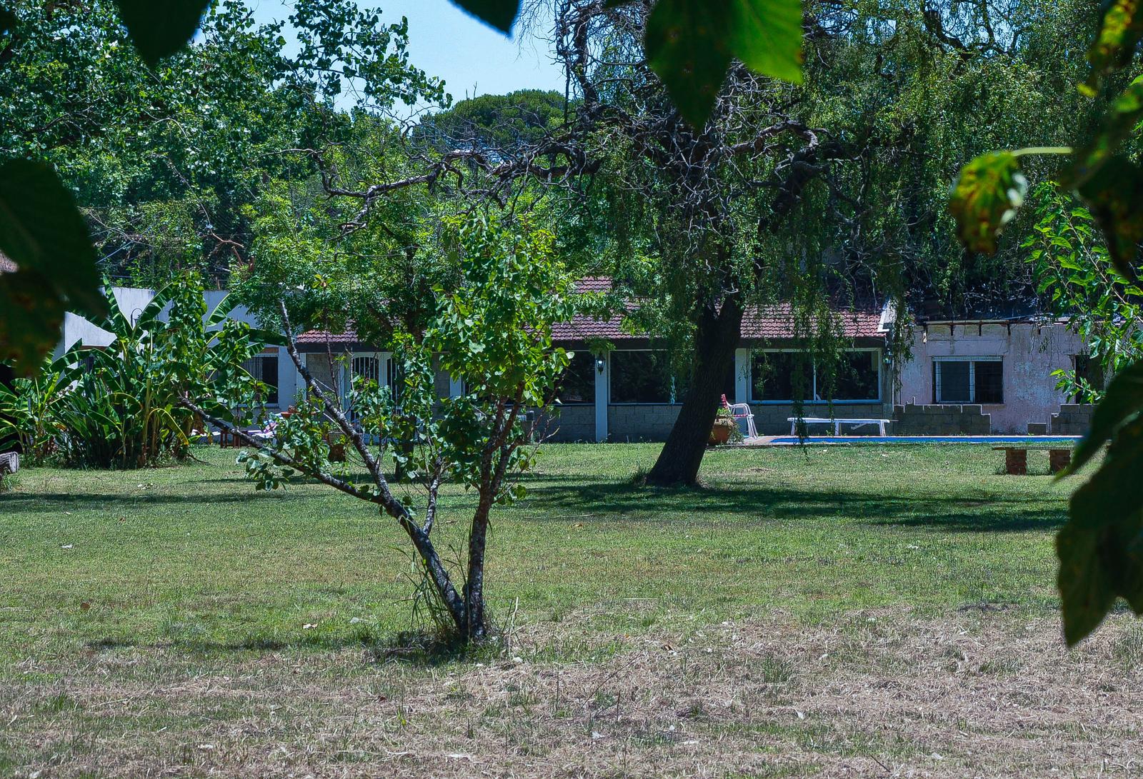image 26